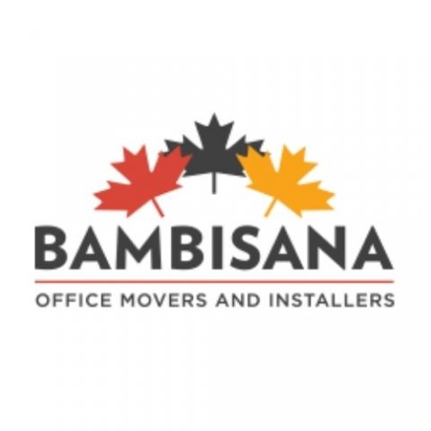 Bambisana Office Movers & Installers