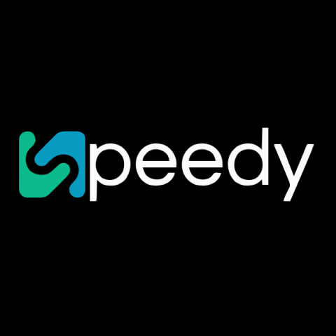 Service d'indexation de sites web SpeedyIndex