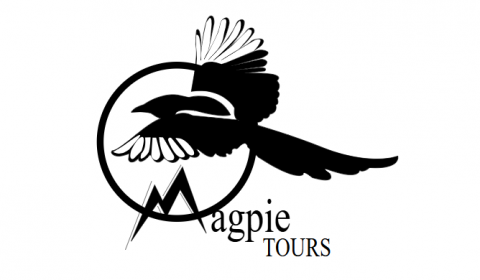 Magpie Tours