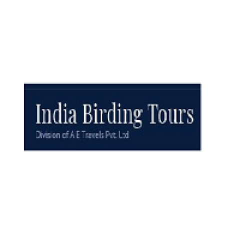 India Birding Tours