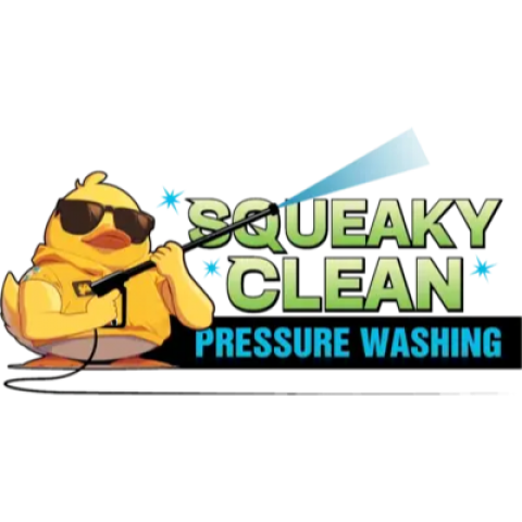 Squeaky Clean Pressure Washing