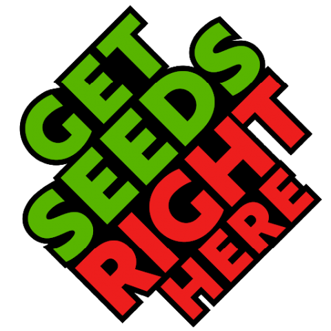 Get Seeds Right Here - We Ship Clones!