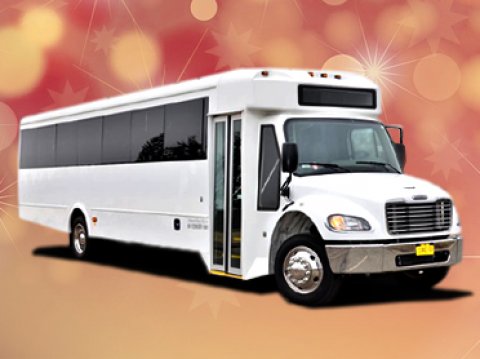 Best Party Bus Rental Nyc Staten Island 