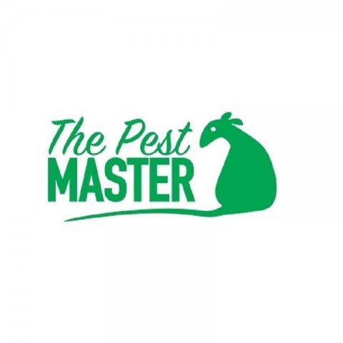 The Pest Master