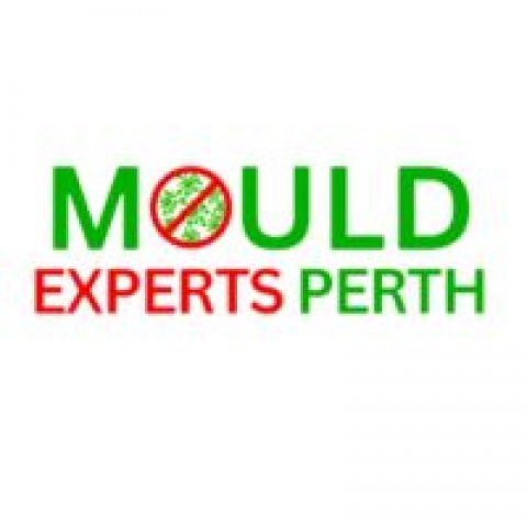 Mould Experts Perth