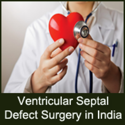 List of Top 10 VSD Surgeon in India