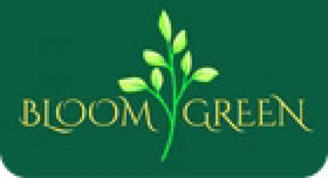 Bloom Green – Plant based Natural Air Fresheners for a Healthy Home