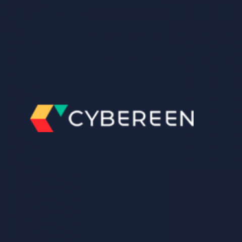 CYBEREEN SOLUTIONS PTY LTD