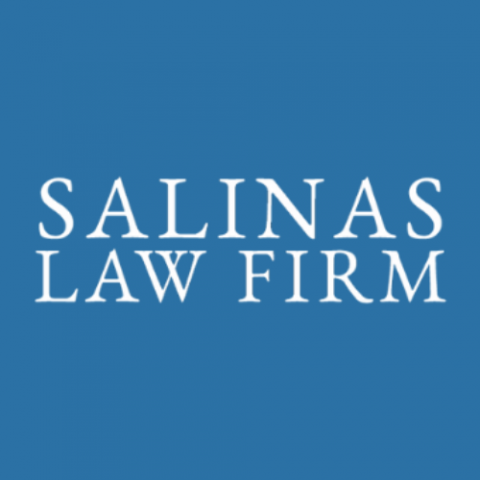 Salinas Law Firm - Immigration Lawyer in Houston