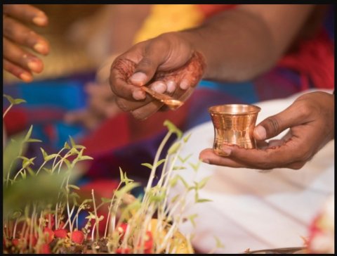 Top Iyer / Pandits / Prohithar for Marriage In Chennai