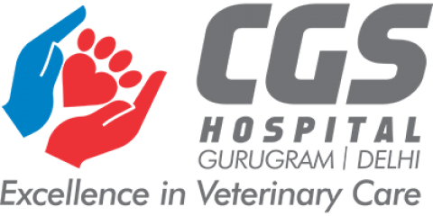 Pet Boarding Delhi | CGS Hospital Sarojini Nagar