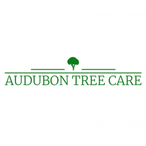 Audubon Tree Care LLC