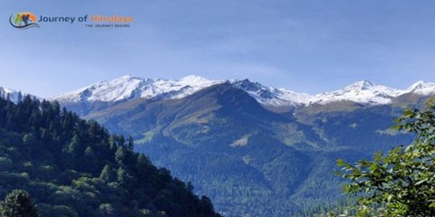 Unwind in the Majestic Mountains of Manali.