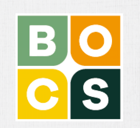 Best Pizza Franchise In India - Bocs Pizza