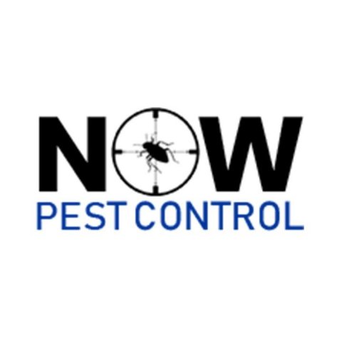 Now Pest Control