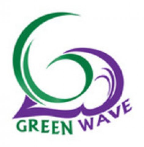 Green Wave Information Technology Network Services LLC