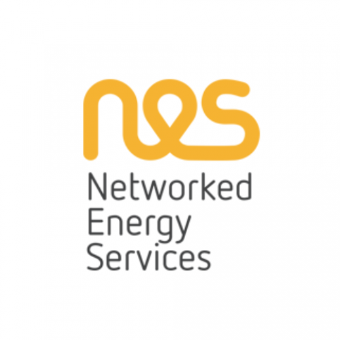 Networked Energy Services Technologies Pvt Ltd