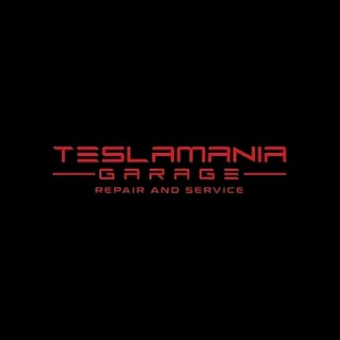 Tesla mania Garage