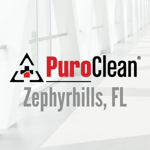 PuroClean Certified Restoration Specialists