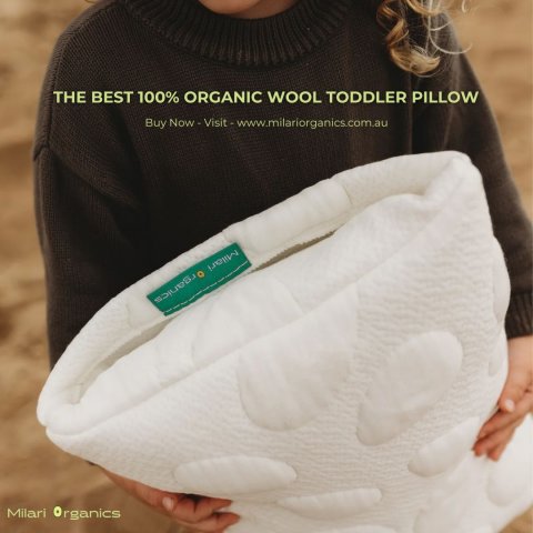 Organic wool toddler pillow for newborn babies !