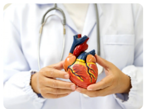 Understanding Heart Failure and Treatment Options