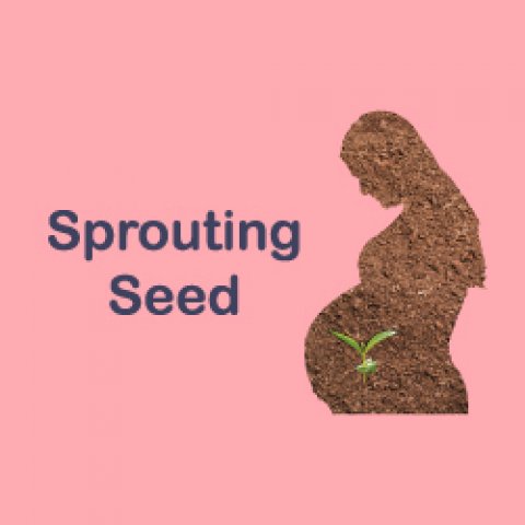 Sprouting Seed Art Bank