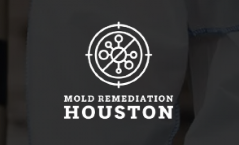 Mold Remediation Houston