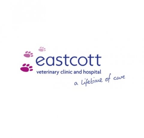 Eastcott Vets - Clive Parade Clinic Swindon