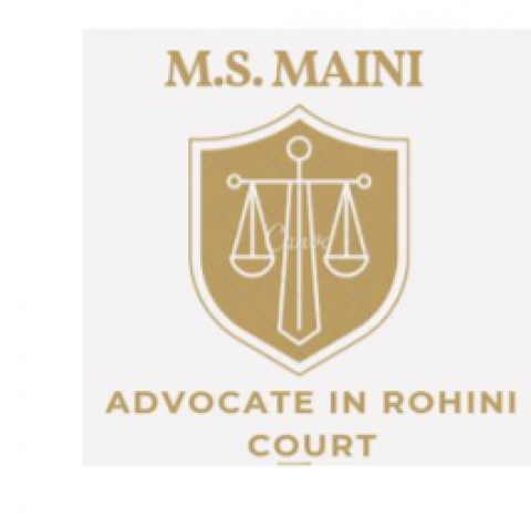 M.S. Maini & Associates