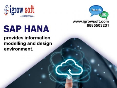 Igrowsoft