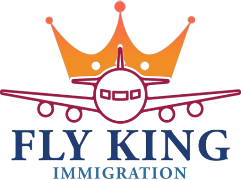 flyking immigration