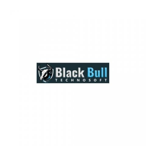 BLACKBULL Technosoft Pvt. Ltd