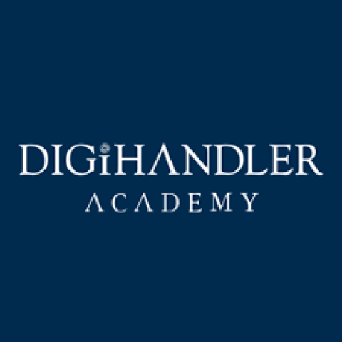 Digihandler Academy - Digital Marketing Institute in Rohtak