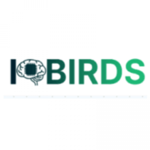 IQBIRDS