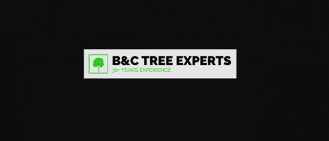 B&C Tree Experts