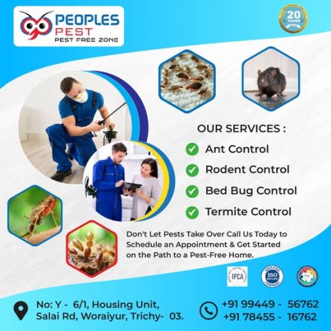 Termite Control Trichy | Peoplespest