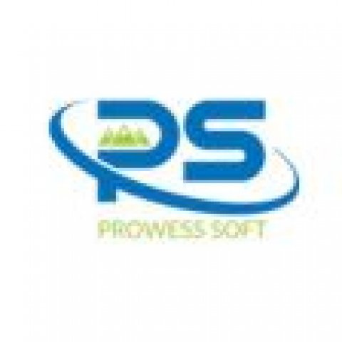 Prowess Software Services Inc