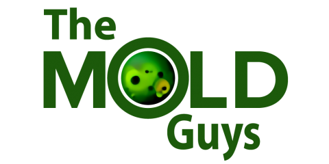 The Mold Guys