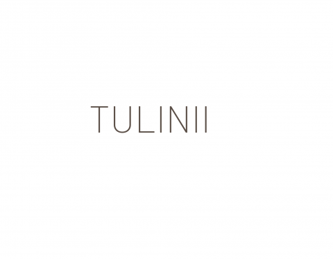 Tulinii