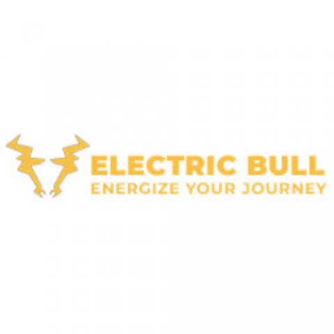 Electric Bull LLC