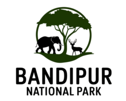 Bandipur National Park