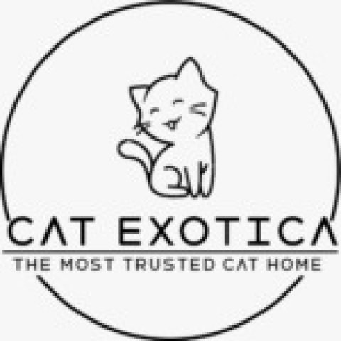 Cat Exotica