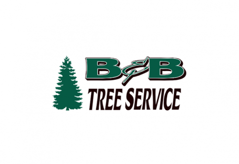 B&B Tree Services