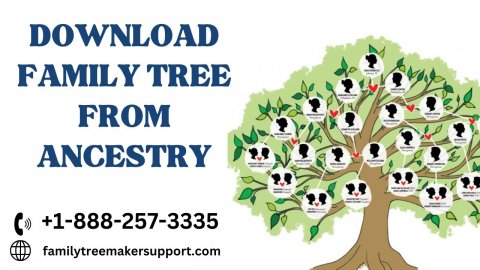 How To download a Tree From An Ancestry Account?