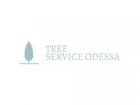 Odessa Tree Contractors