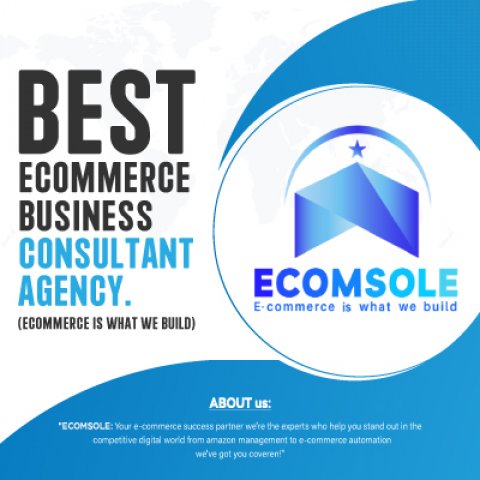 Best eCommerce Business Consultant Agency.