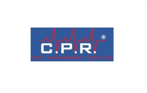 Cockroach Control - CPR Pest Services