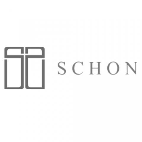 The Schon