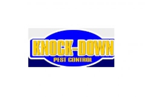 Termite Pest Control - Knockdown Pest Control