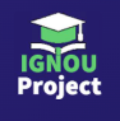 IGNOU MBA Project